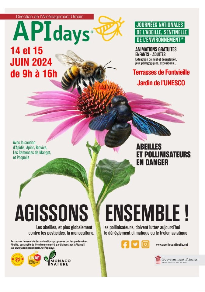Affiche APIdays 2024